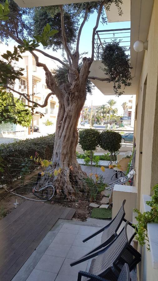 Kerynia Apartments Paphos ภายนอก รูปภาพ