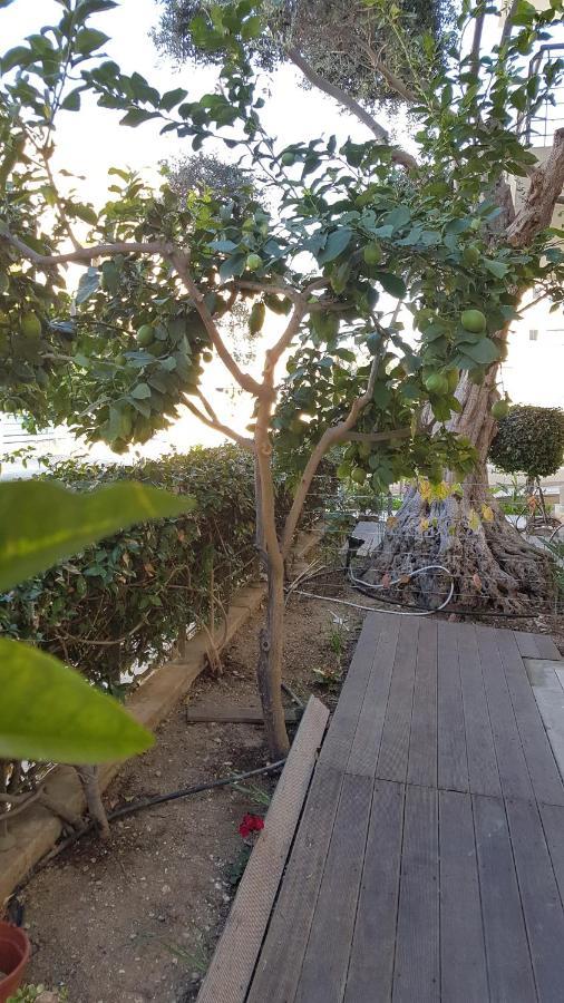 Kerynia Apartments Paphos ภายนอก รูปภาพ